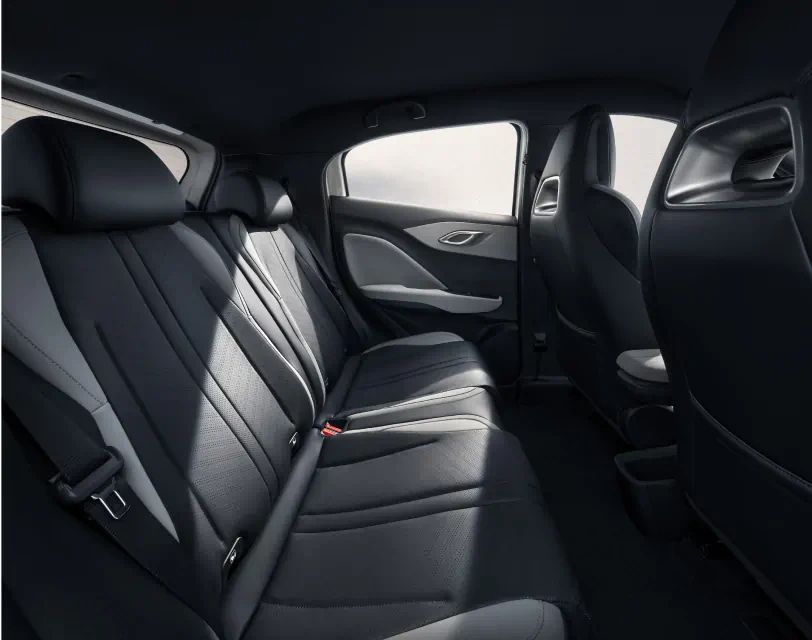 BYD Dolphin Surf ze sportowym spojlerem dachowym